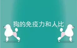 狗的免疫力和人比