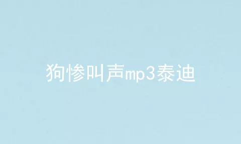 狗惨叫声mp3泰迪