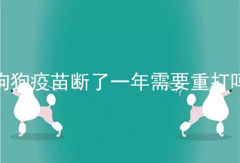 狗狗疫苗断了一年需要重打吗