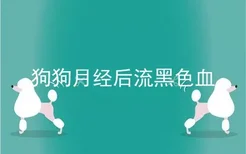 狗狗月经后流黑色血