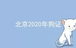 北京2020年狗证