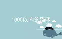 1000以内的猫咪