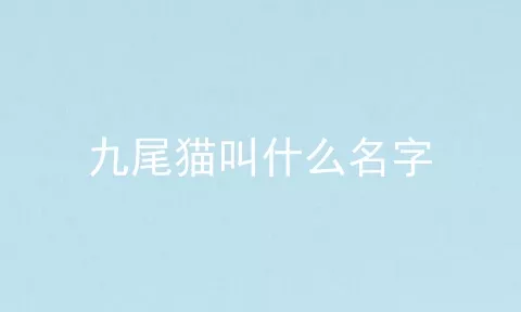 九尾猫叫什么名字