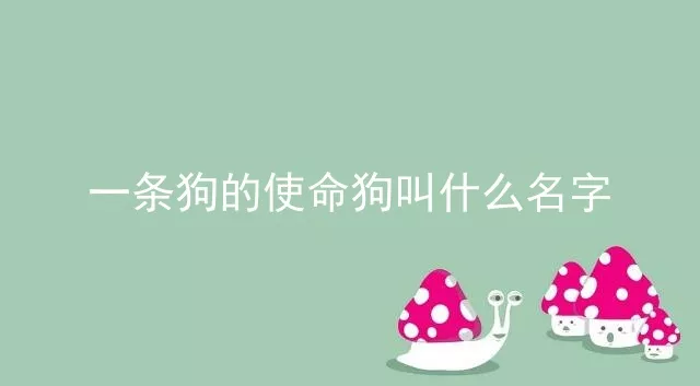 一条狗的使命狗叫什么名字