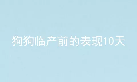 狗狗临产前的表现10天