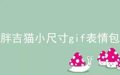 胖吉猫小尺寸gif表情包