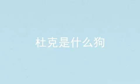 杜克是什么狗