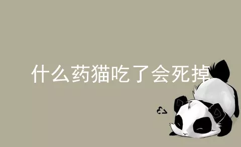 什么药猫吃了会死掉