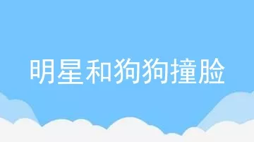 明星和狗狗撞脸