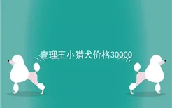 查理王小猎犬价格30000