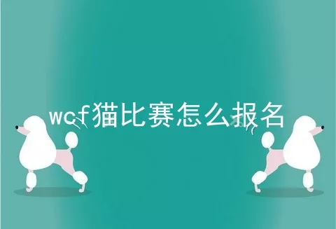 wcf猫比赛怎么报名