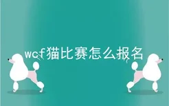 wcf猫比赛怎么报名