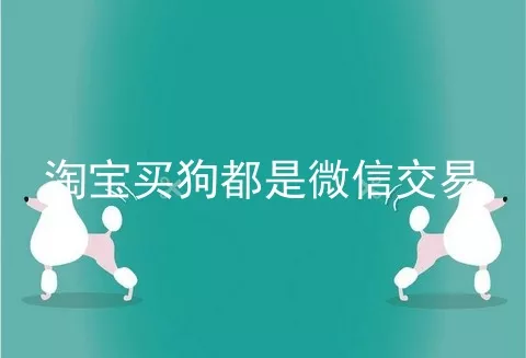 淘宝买狗都是微信交易