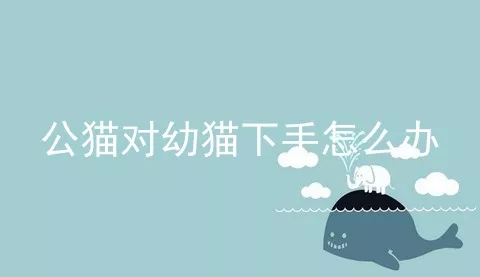 公猫对幼猫下手怎么办