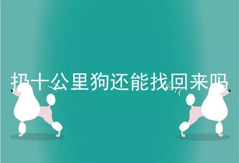 扔十公里狗还能找回来吗