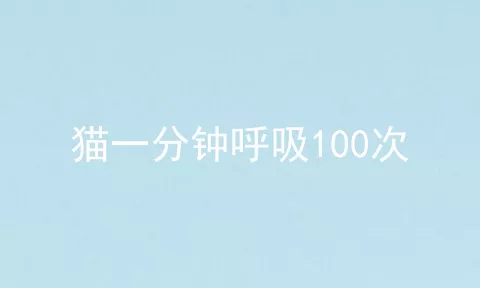 猫一分钟呼吸100次