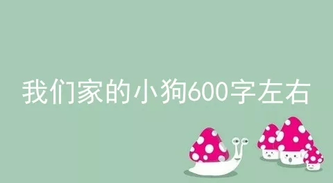 我们家的小狗600字左右