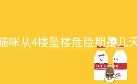 猫咪从4楼坠楼危险期是几天