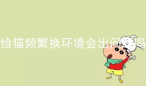 给猫频繁换环境会出问题吗