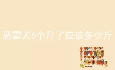 恶霸犬6个月了应该多少斤