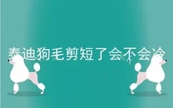 泰迪狗毛剪短了会不会冷