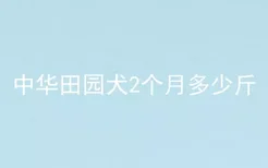 中华田园犬2个月多少斤