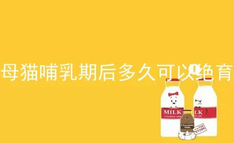 母猫哺乳期后多久可以绝育