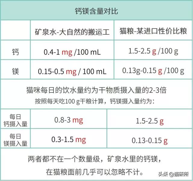 猫咪喝什么水(猫咪喝什么水比较好)