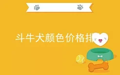 斗牛犬颜色价格排名