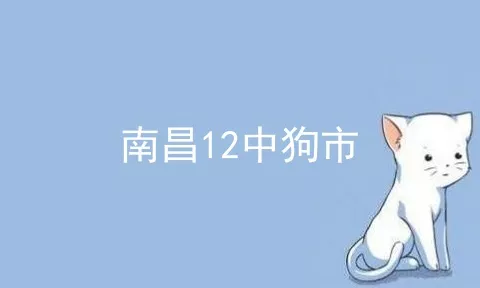 南昌12中狗市