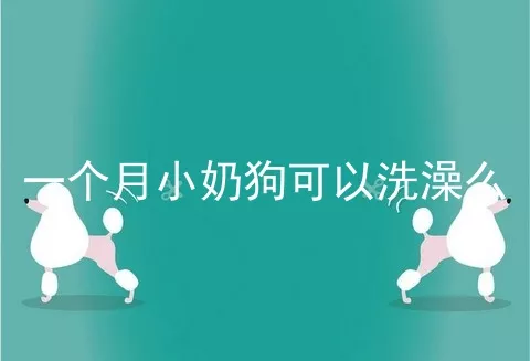 一个月小奶狗可以洗澡么