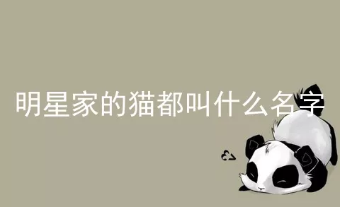 明星家的猫都叫什么名字