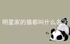 明星家的猫都叫什么名字