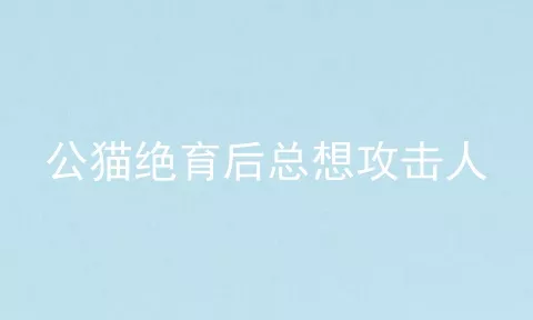 公猫绝育后总想攻击人