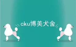 cku博美犬舍