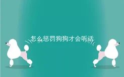 怎么惩罚狗狗才会听话