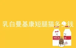 乳白曼基康短腿猫多少钱