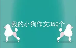 我的小狗作文350个