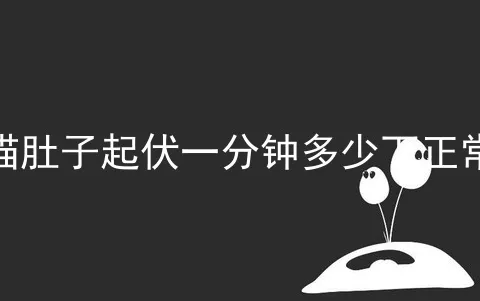 猫肚子起伏一分钟多少下正常