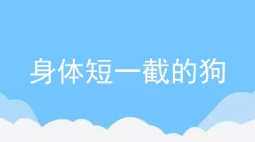 身体短一截的狗