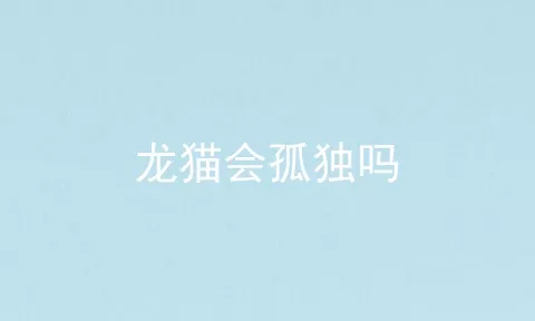 龙猫会孤独吗