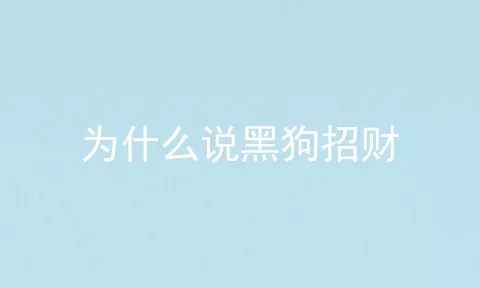 为什么说黑狗招财