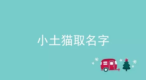 小土猫取名字