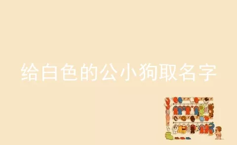 给白色的公小狗取名字