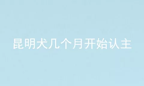 昆明犬几个月开始认主