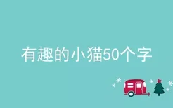 有趣的小猫50个字