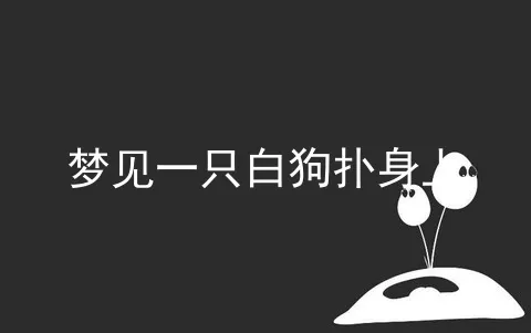 梦见一只白狗扑身上