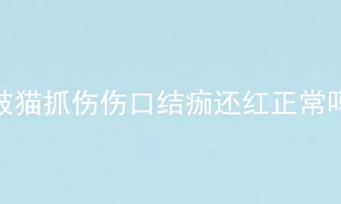 被猫抓伤伤口结痂还红正常吗