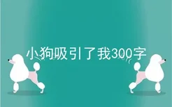 小狗吸引了我300字