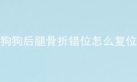 狗狗后腿骨折错位怎么复位